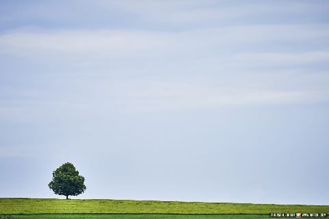 Gemeinde Tyrlaching Landkreis Altötting Rainbichl Linde Aussicht Landschaft (Dirschl Johann) Deutschland AÖ